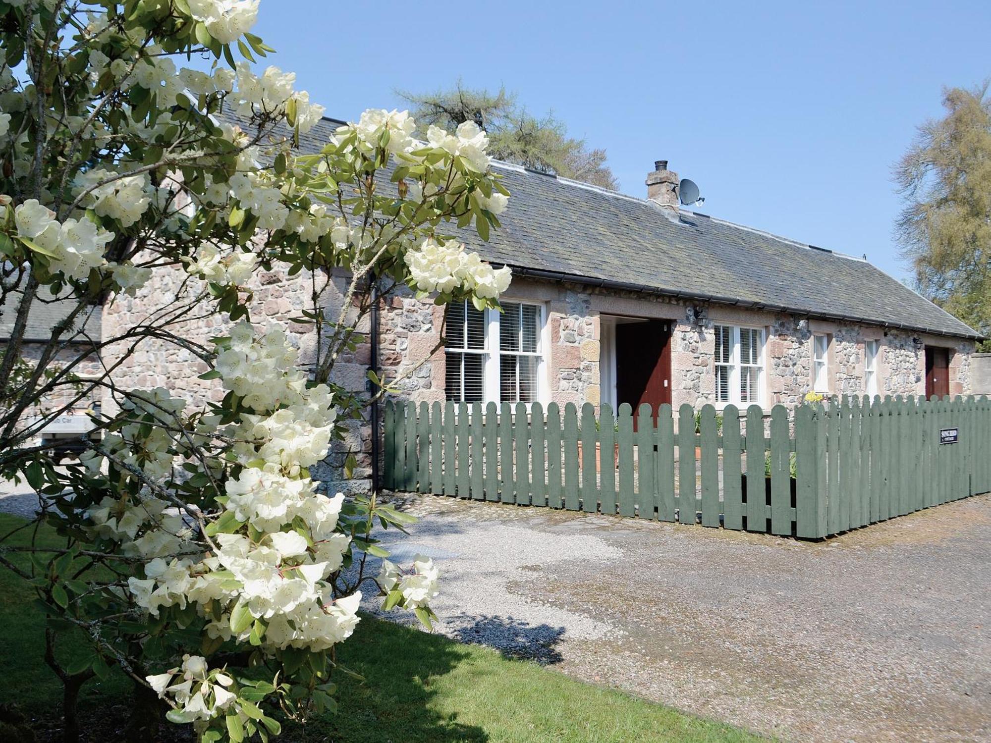 Song Bird Cottage Lochend Exterior photo